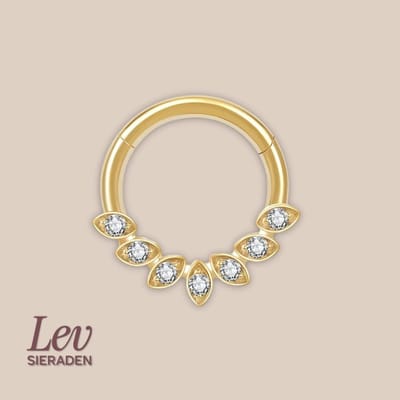 Lev Sieraden - Titanium premium neus ring - 7 eyes zirkonia segment ring - 1.2x8mm - Goud - segment ring - neuspiercing - tragus piercing - Oorpiercing