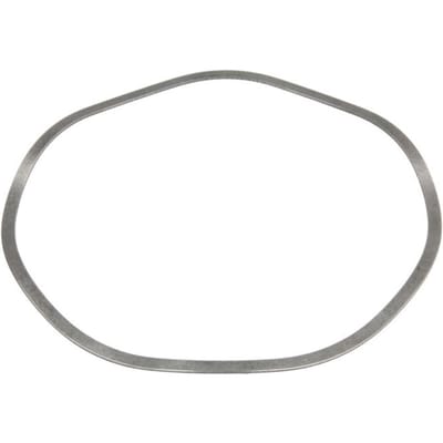 Circlip ZF 0501325499