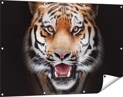 Gards Tuinposter Tijgerkop - Tijger - 120x80 cm - Tuindoek - Tuindecoratie - Wanddecoratie buiten - Tuinschilderij