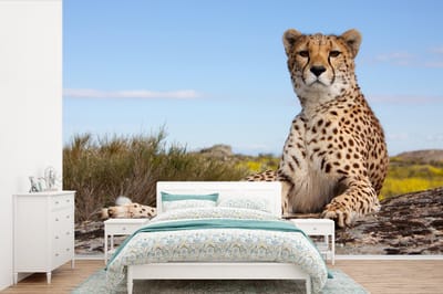 Behang - Fotobehang Luipaard - Dieren - Natuur - Breedte 390 cm x hoogte 260 cm