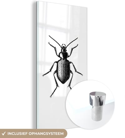 MuchoWow® Glasschilderij 20x40 cm - Schilderij acrylglas - Kever - Dieren - Vintage - Zwart wit - Foto op glas - Schilderijen