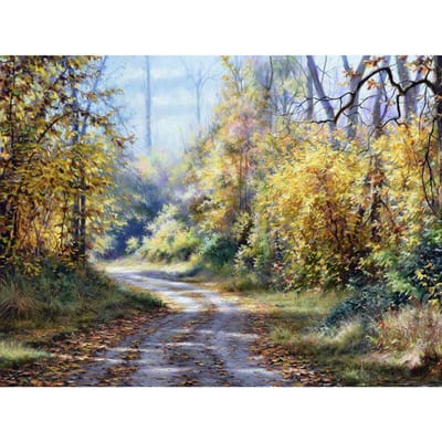 Foret rond complet 5D bricolage diamant broderie montagne sentier diamant peinture point de croix strass 20X30CM beige