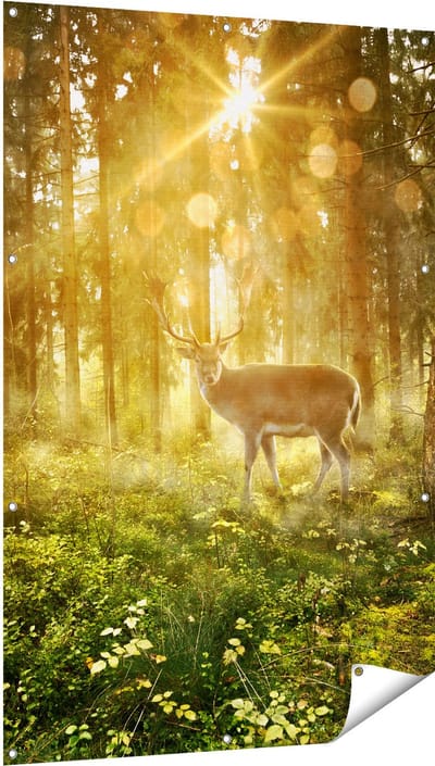 Gards Tuinposter Hert in Bos met Zon - 100x150 cm - Tuindoek - Tuindecoratie - Wanddecoratie buiten - Tuinschilderij