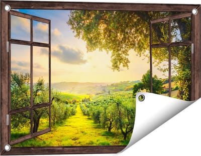 Gards Tuinposter Doorkijk Olijvenbomen - Olijvengaard - 60x40 cm - Tuindoek - Tuindecoratie - Wanddecoratie buiten - Tuinschilderij