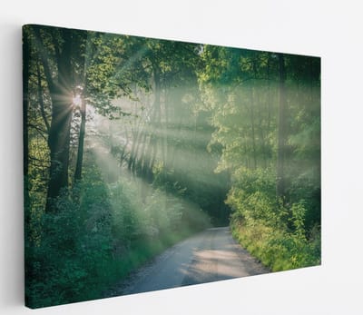 Saammp Canvas Schilderij - bos - Pad met zonsondergang - Landschap - Natuur - 45x30 - Foto op canvas - Wanddecoratie - Muurdecoratie Woonkamer - Slaapkamer decoratie - Canvas Print