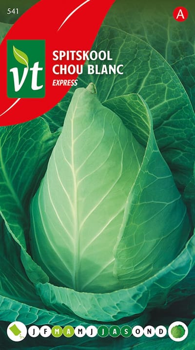 Spitskool 'Express' - Perfect voor de Vroege Teelt