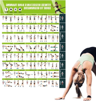 Workoutposters - Trainingsgids Poster - Spieropbouw Training - Duidelijke Illustraties - 428 x 574 cm - Groen