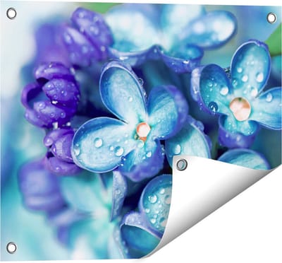 Gards Tuinposter Blauwe Lila Bloemen - Seringen - 50x40 cm - Tuindoek - Tuindecoratie - Wanddecoratie buiten - Tuinschilderij