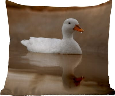 Tuinkussen - Eend - Vogel - Water - Wit - 40x40 cm - Weerbestendig