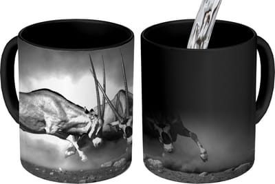 Magische Mok - Foto op Warmte Mokken - Koffiemok - Antilope - Zwart wit - Portret - Wilde dieren - Dieren - Magic Mok - Beker - 350 ML - Theemok