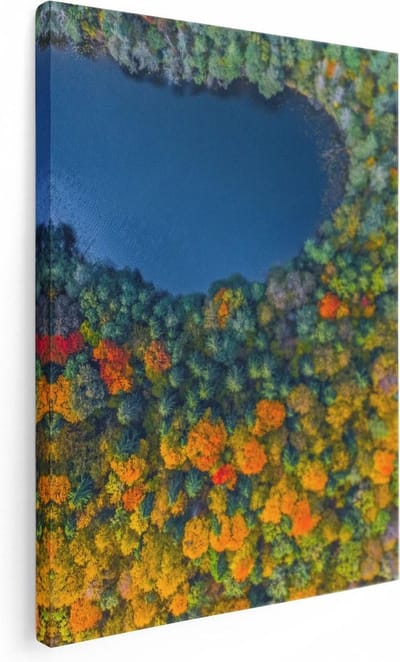 Artaza Canvas Schilderij Bos - 30x40 cm - Klein - Wanddecoratie Herfst - Muurdecoratie Landschap - Kamer Accessoires Natuur