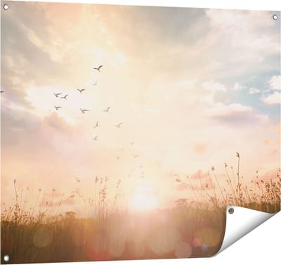 Gards Tuinposter Silhouet Vogels tijdens Zonsopkomst - 100x80 cm - Tuindoek - Tuindecoratie - Wanddecoratie buiten - Tuinschilderij