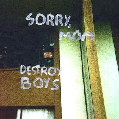 Destroy Boys - Sorry, Mom (LP)