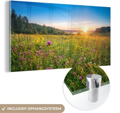 MuchoWow® Glasschilderij 40x20 cm - Schilderij acrylglas - Zon - Gras - Bloemen - Foto op glas - Schilderijen