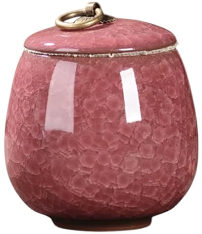 Artic Celeste Mini Urn – Donkerroze – 200 ML – Hoogwaardig Keramiek – Handgemaakt – As Urn – Menselijk As – Huisdieren Urn – Urn Hond – Urn Kat – Urn voor As Volwassen – Decoratie Urne – Urnen – Mini Urn – Urne Volwassenen – Urn voor Dieren
