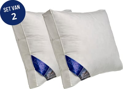 Ten Cate Hoofdkussen - Hoofdkussen Nekklachten - Kussen set van 2 Eendendons & Eendenveren - Halfdons - Hoofdkussens - Geschikt voor rug-, zij- en buikslapers - Ergonomisch Boxkussen - 50x60 cm - 2 stuks