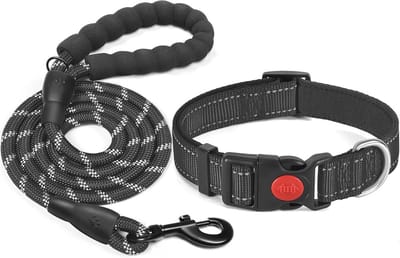 Reflecterende gewatteerde hondenhalsband van neopreen - Verstelbaar en ademend voor alle hondenrassen