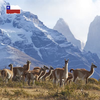 InternationalSIM Data Simkaart Chili - 3 GB - 15 dagen