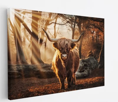 Saammp Canvas Schilderij - Schotse Hooglander Koe in een bos met zonsondergang - Dieren - Natuur - 60x40 - Foto op canvas - Wanddecoratie - muurdecoratie Woonkamer - Slaapkamer decoratie - Canvas Print