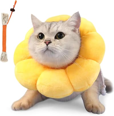 Verstelbare Kattenhalsband Set met Bijtkoord, Zachte Kraag en Elizabethaanse Kraag voor Katten van 12-20 cm