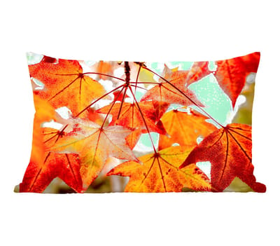 Sierkussens - Kussentjes Woonkamer - 50x30 cm - Herfsttakken - Bladeren - Seizoenen - Landelijk