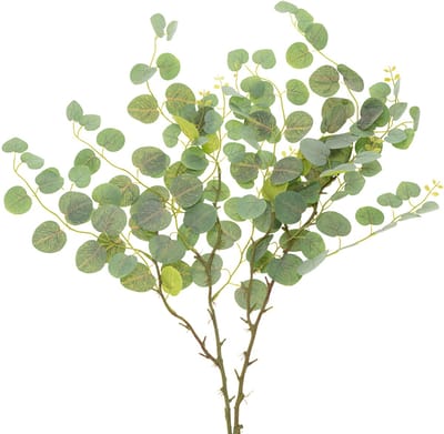 Decoratieve eucalyptustak, ideaal als tafeldecoratie, 120 cm
