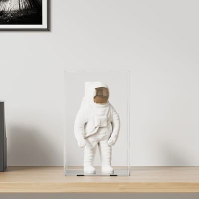 vidaXL - Displaybox - transparant - 22x18x35 - cm - acryl