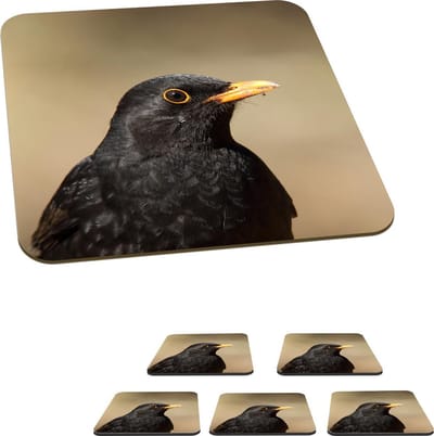 Onderzetters voor glazen - Mannelijke merel met gele snavel - 10x10 cm - Glasonderzetters - 6 stuks