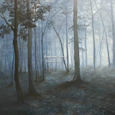 Bantam Lyons - Melatonin Spree (LP)