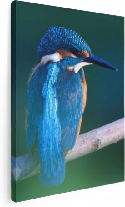 Artaza Canvas Schilderij Vogel Op Tak - 30x40 cm - Klein - Wanddecoratie Woonkamer - Muurdecoratie Dieren - Kamer Accessoires