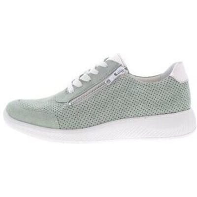 Lage Sneakers Solidus Halea