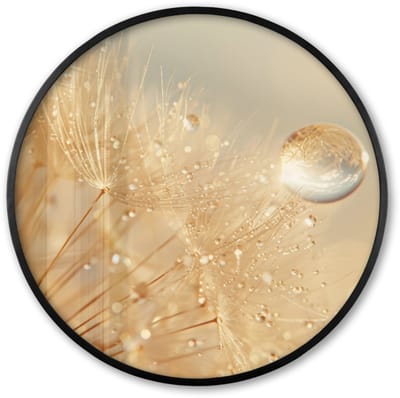 Poster in lijst Rond - Fotolijst 60x60 cm - Posters - Paardenbloem - Water - Natuur - Planten - Modern - Ronde posterlijst zwart - Decoratie - Wanddecoratie woonkamer - Muurdecoratie slaapkamer