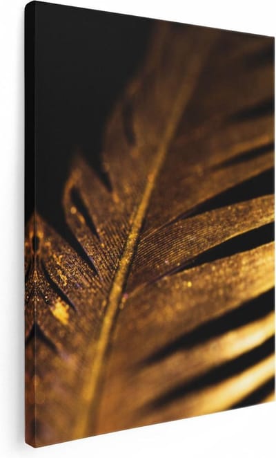 Artaza Canvas Schilderij Gouden Veer - 30x40 cm - Klein - Muurdecoratie Abstract - Wanddecoratie Woonkamer - Schilderijen Op Canvas