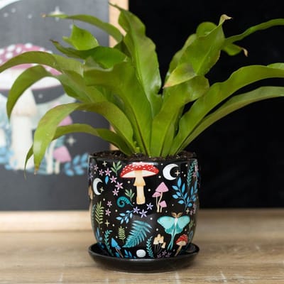 Something Different - Dark Forest Print Ceramic with Saucer Plantenpot - Multicolours