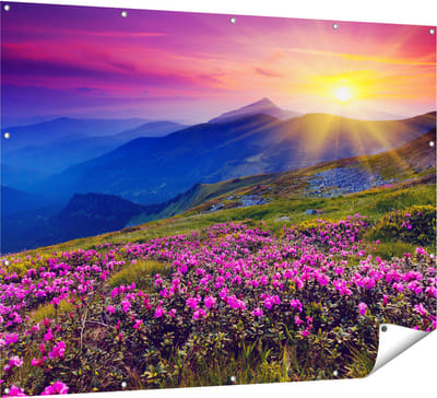 Gards Tuinposter Roze Rhododendron Bloemenveld - Bergen - 160x120 cm - Tuindoek - Tuindecoratie - Wanddecoratie buiten - Tuinschilderij