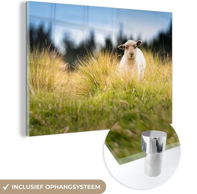 ® Glasschilderij 180x120 cm - Schilderij acrylglas - Lammetje tussen het hoge gras - Foto op glas - Muurdecoratie woonkamer - Wanddecoratie slaapkamer - Schilderijen