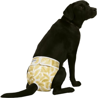 Loopsheidbroekje hond - gouden palmprint - maat XL - voor grote honden - herbruikbaar - hondenbroekje - hondenluier - loopsheid - ongesteldheid - voorkomt ongewenste zwangerschappen bij teefjes - milieuvriendelijk - verantwoord - perfecte pasvorm