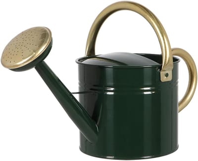Groene Gieter - Waterkruik Tuin - Planten Water Geven - Afneembare Douchekop - 5 Liter Inhoud - Groen