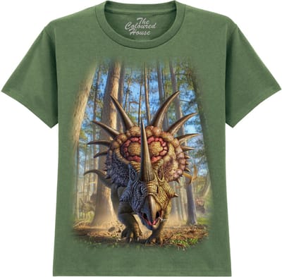 KIDS Dino Styracosaur The Coloured House KIDS T-shirt XL