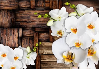 Fotobehang - Blooming orchids.