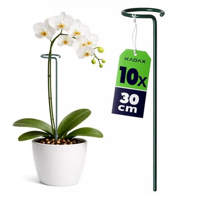 KADAX Plantensteun met oog 30 cm, stalen plantenstok, ring 6 cm, bloemensteun, groen, tuin, 10 st.