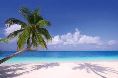 Fotobehang - Beach 375x250cm - Vliesbehang