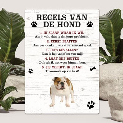 Spreuken - Engelse Buldog - Regels Van De Hond - Spreuken Bordjes - Spreukenbord - Tekstborden - Cadeau - Hondenras