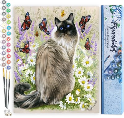 Figured'Art Schilderen op Nummer Volwassenen canvas Ontdekking van vlinders - Handwerk acrylverf Kit DIY Compleet - 40x50cm zonder frame