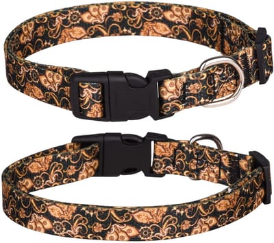 Dailygoods- Halsband Zacht Verstelbaar - Hondenhalsband - Hondenhalsband Bloemen - Hondenhalsband Duurzaam - Hondenhalsband M/L/XL - Breedte 2,0 cm