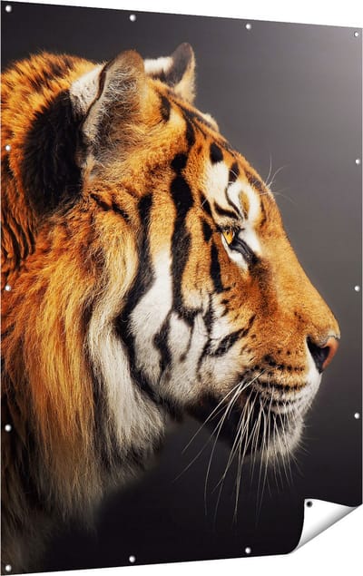 Gards Tuinposter Zijaanzicht van een Tijger - Tijgerkop - 120x160 cm - Tuindoek - Tuindecoratie - Wanddecoratie buiten - Tuinschilderij