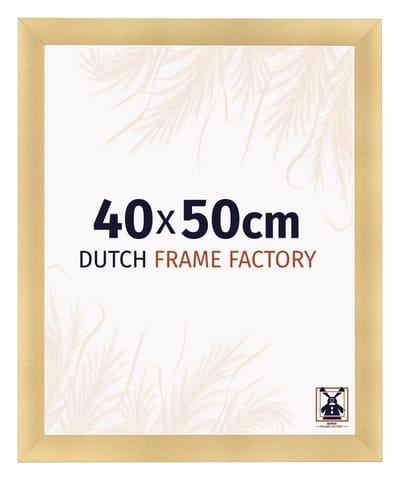 Fotolijst 40x50 cm - MDF - Goud Mat - Praag