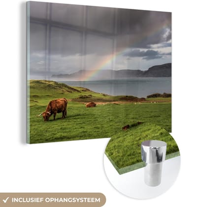 MuchoWow® Glasschilderij 160x120 cm - Schilderij acrylglas - Schotse Hooglander - Gras - Wolken - Foto op glas - Schilderijen