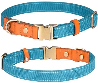 Dailygoody - Nylon halsband - Verstelbaar - Lichtblauw - Huisdierhalsband - Geschikt voor honden - S: 10-16,5" (26-42cm)