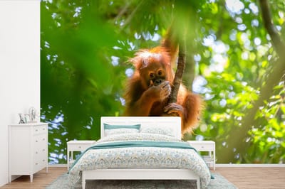 Behang - Fotobehang Aap - Boom - Dieren - Breedte 360 cm x hoogte 240 cm